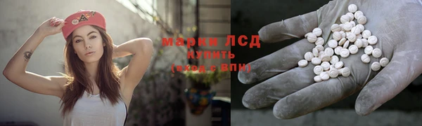 сатива Дмитров