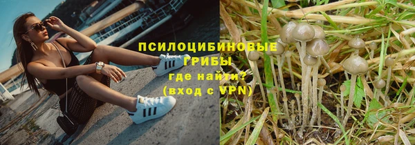 сатива Дмитров