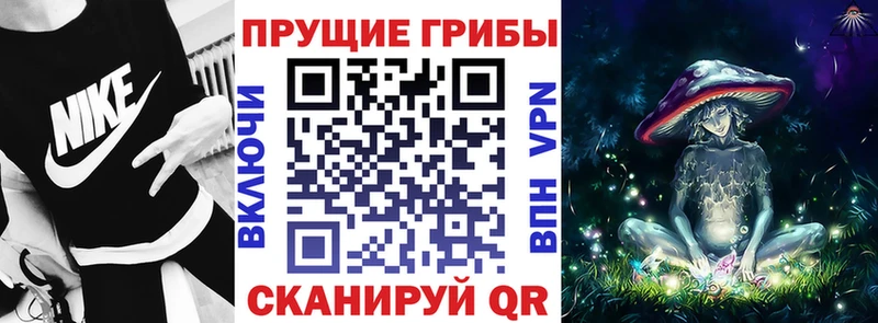 Галлюциногенные грибы ЛСД  Купить закладки  Канаш 